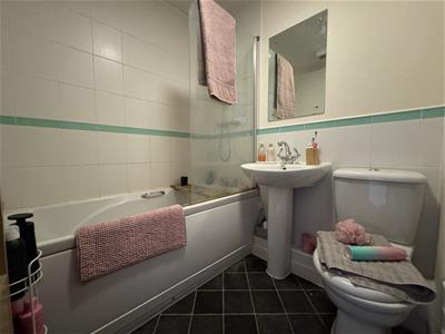Picture 8